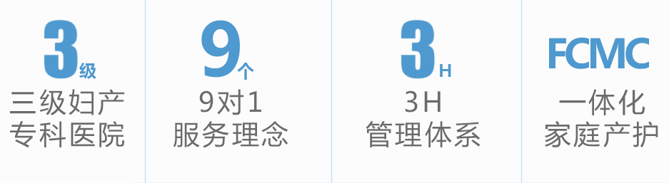 安琪儿简介